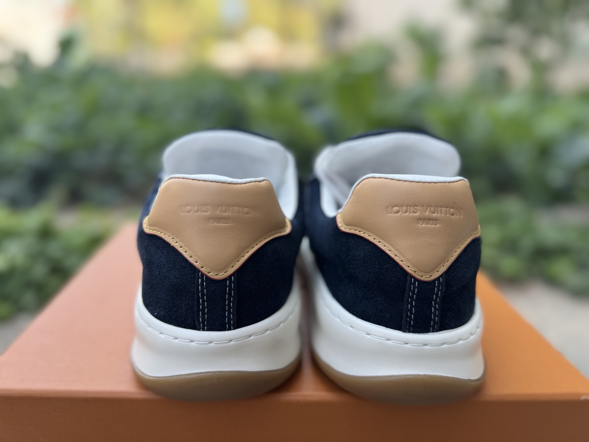 Nike Jordan shoe